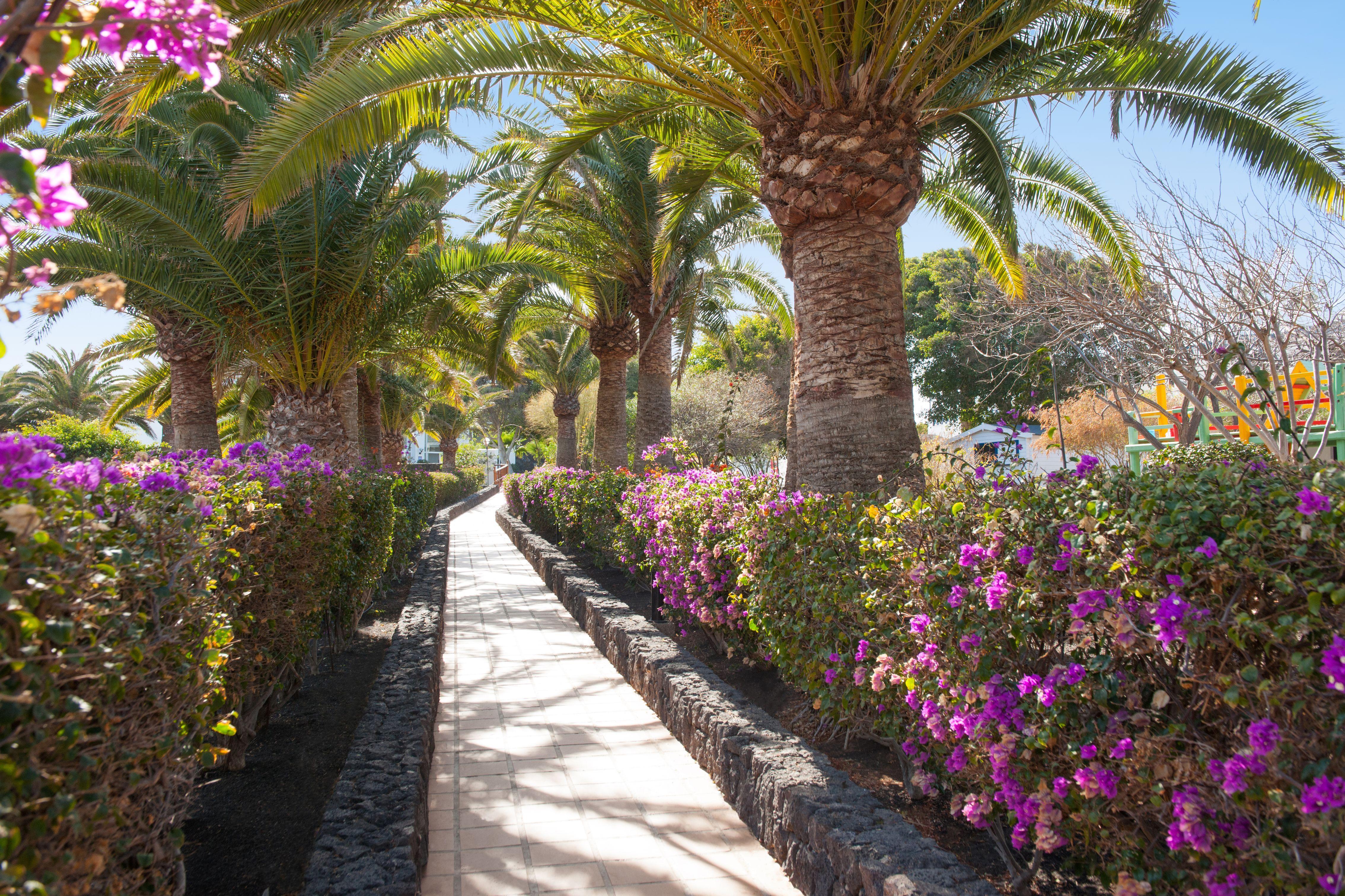 Hotel Relaxia Olivina Puerto del Carmen  Zewnętrze zdjęcie